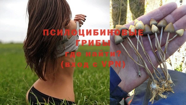 метадон Богданович