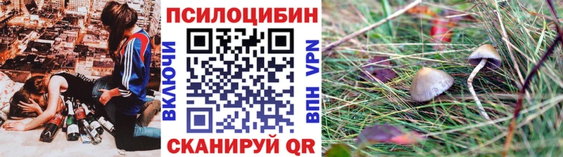 Псилоцибиновые грибы MAGIC MUSHROOMS  сколько стоит  Острогожск 